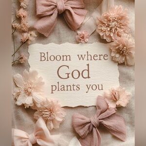 𝕄𝕖𝕖𝕥 𝕄𝕖….✿♥︎♡✿